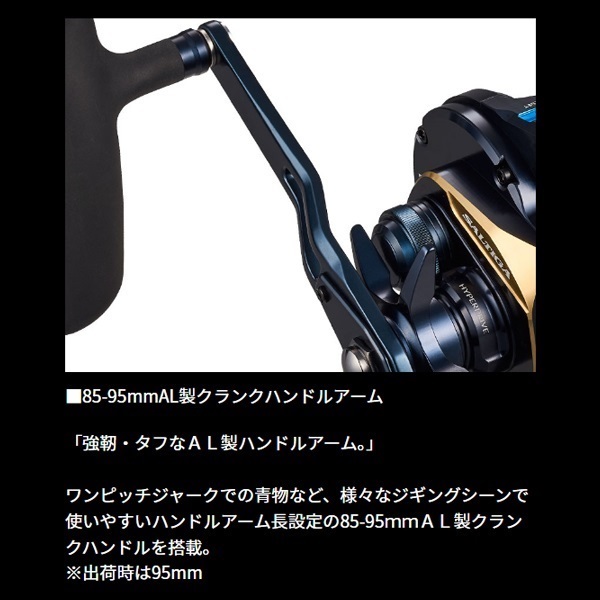 25ソルティガ IC